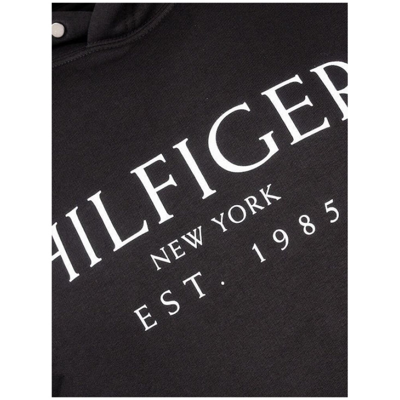 TOMMY HILFIGER Big hoody